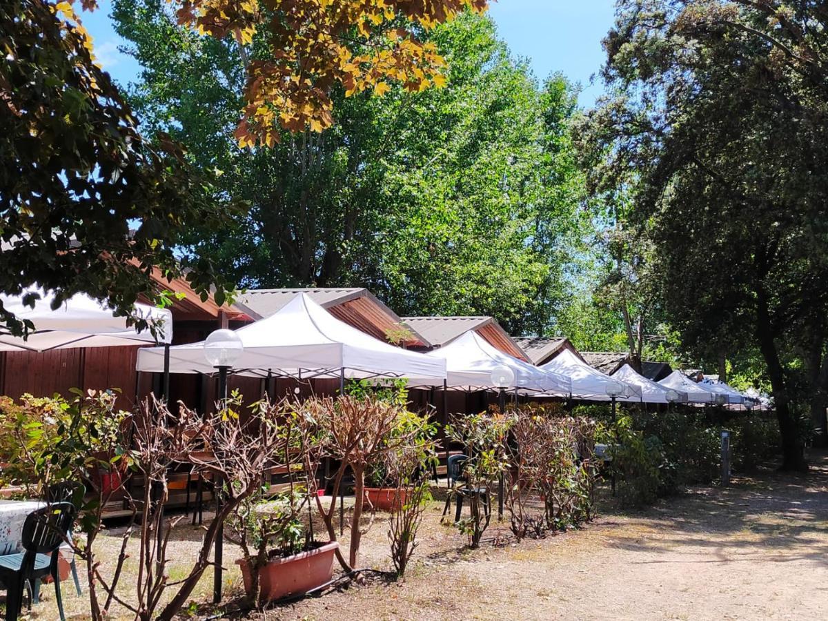 Cabana Camp Hotel Massa  Ruang foto